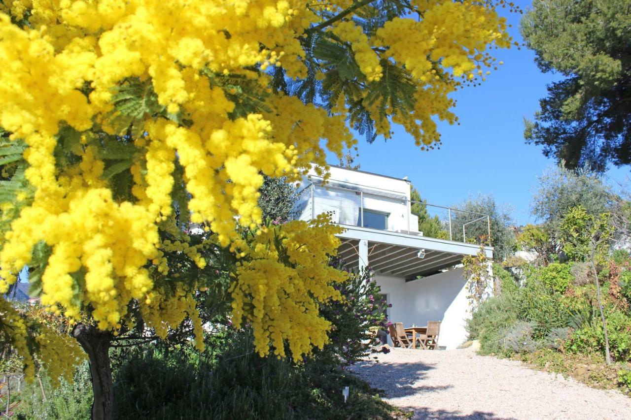 Apartamento 456 Chemin De La Pinede Menton Exterior foto